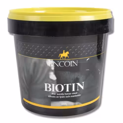 LINCOLN Biotin