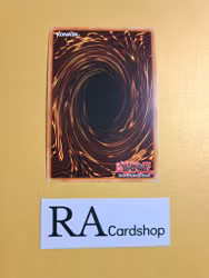 Tannhauser Gate EN053 1st EDITION Abyss Rising ABYR Yu-Gi-Oh