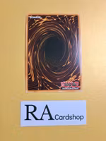 Memory of an Adversary EN075 1st EDITION Abyss Rising ABYR Yu-Gi-Oh