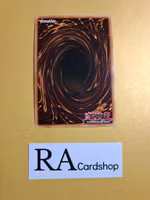 Red Dragon Ninja EN082 1st EDITION Abyss Rising ABYR Yu-Gi-Oh