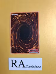 Satellarknight Rigel EN025 Eternity SECE Yu-Gi-Oh