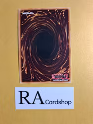 Sunvine Gardna 1st Edition EN022 Ghosts From the Past GFTP Yu-Gi-Oh