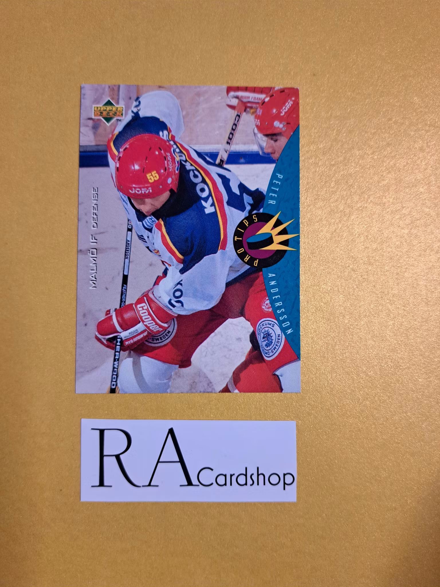 Fredrik Bergqvist First Divison Star 95-96 Upper Deck Swedish #DS17