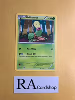 Bellsprout Common 1/111 Furious Fist Pokemon
