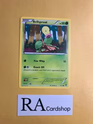 Bellsprout Common 1/111 Furious Fist Pokemon