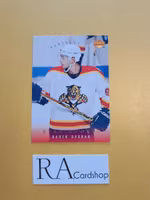 Radek Dvorak 95-96 Upper Deck #260 NHL Hockey