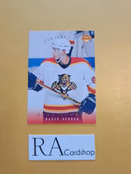 Radek Dvorak 95-96 Upper Deck #260 NHL Hockey