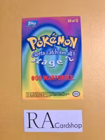 Wartortle Holo #08 E8 of 12