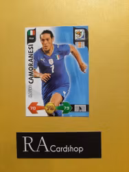 Mauro Camoranesi 2010 FIFA World Cup South Africa Adrenalyn XL