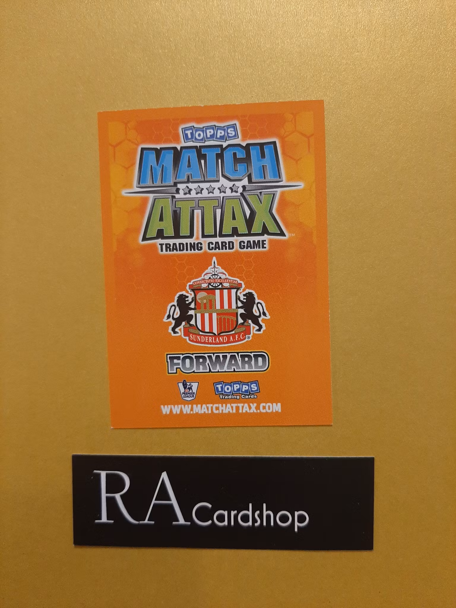 Daryl Murphy 2009-10 Match Attax