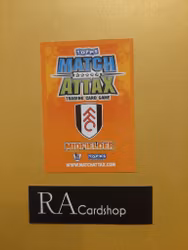 Zoltan Gera 2009-10 Match Attax