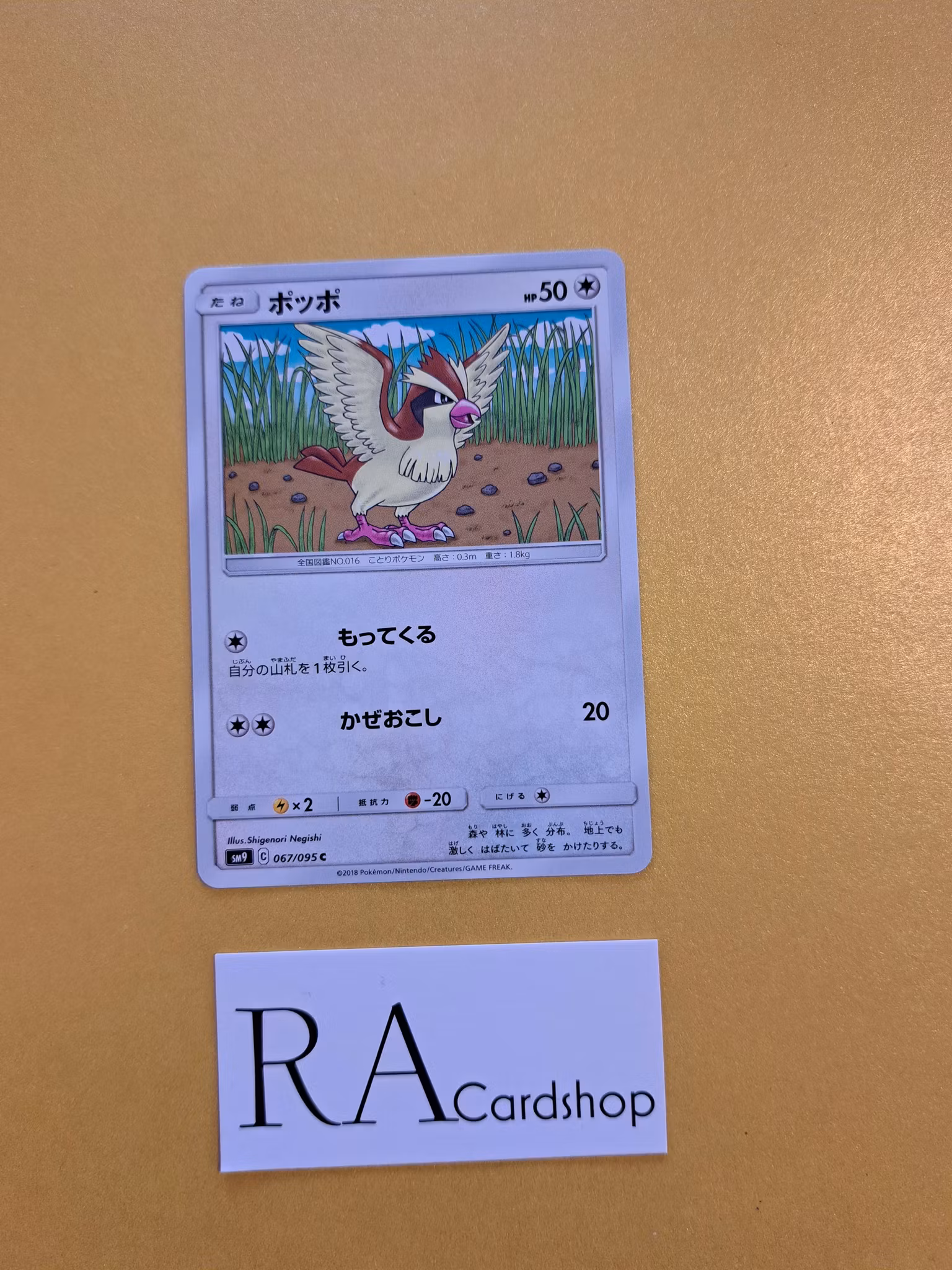 Pidgey Common 067/095 Tag Volt sm9 Pokémon