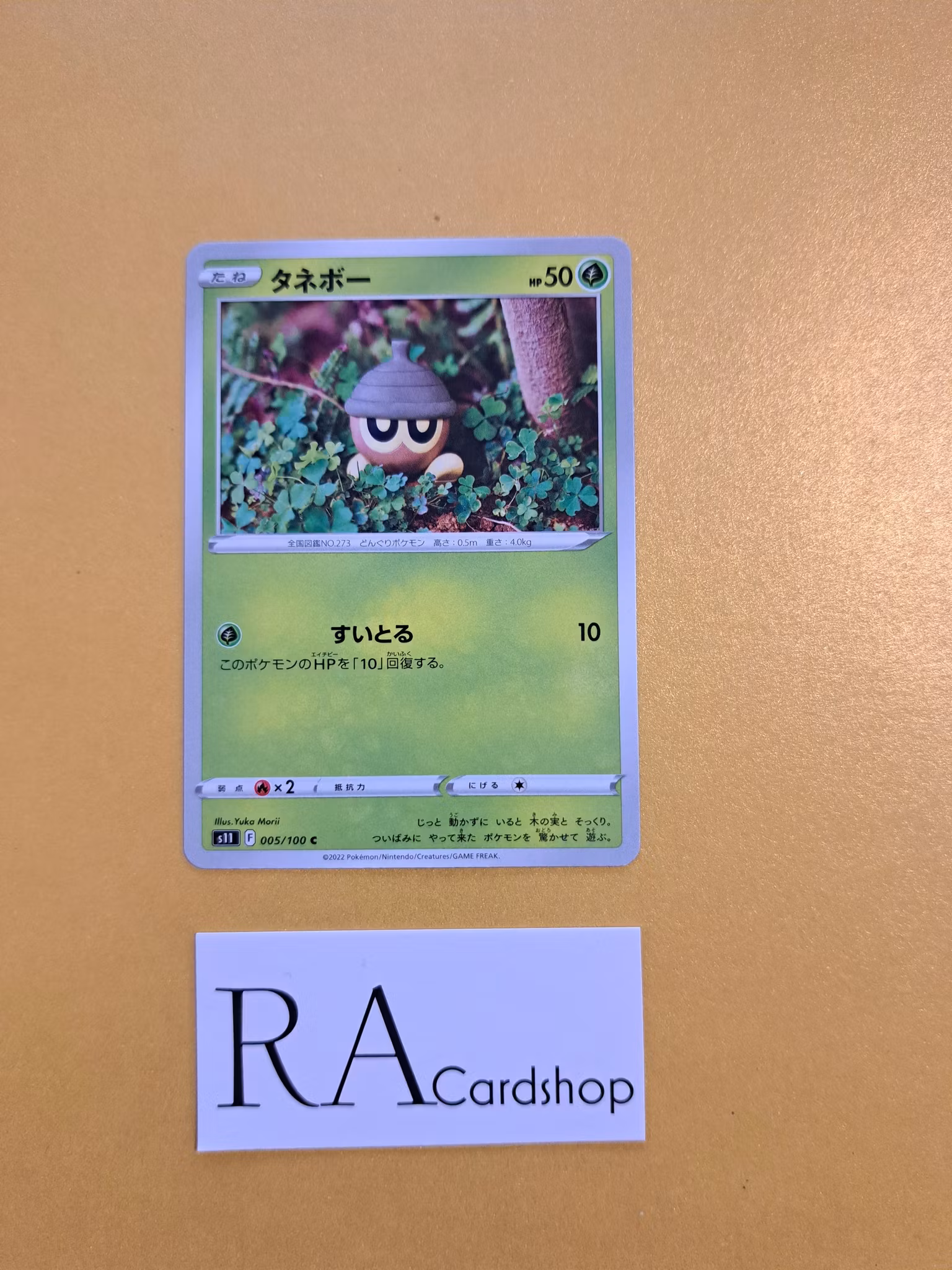 Seedot Common 005/100 Lost Abyss s11 Pokémon