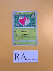 Wurmple Common 004/071 Dark Phantasma s10a Pokémon