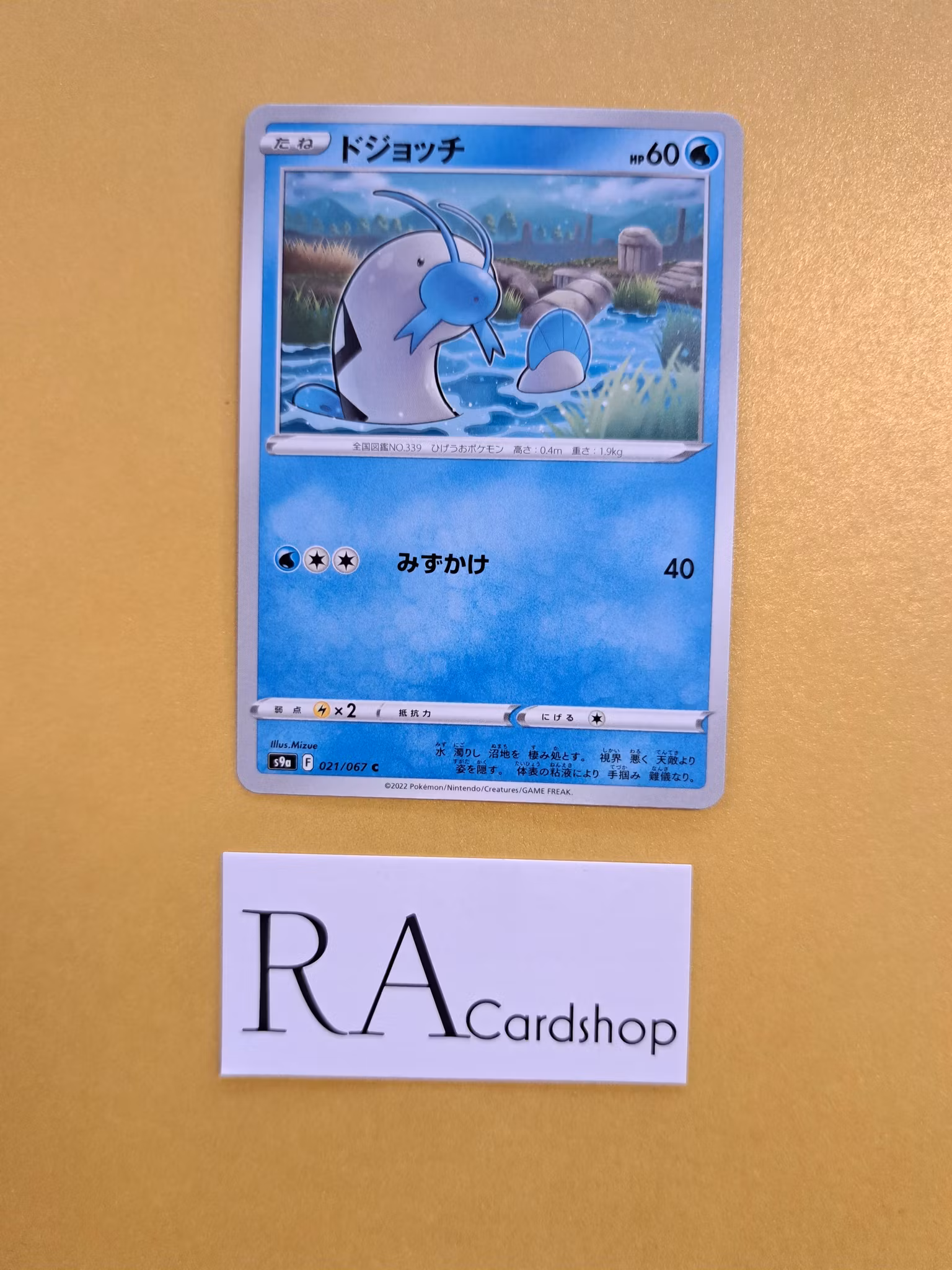 Barboach Common 021/067 Battle Legion s9a Pokémon