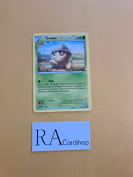 Seedot Common 9/114 Steam Siege Pokemon