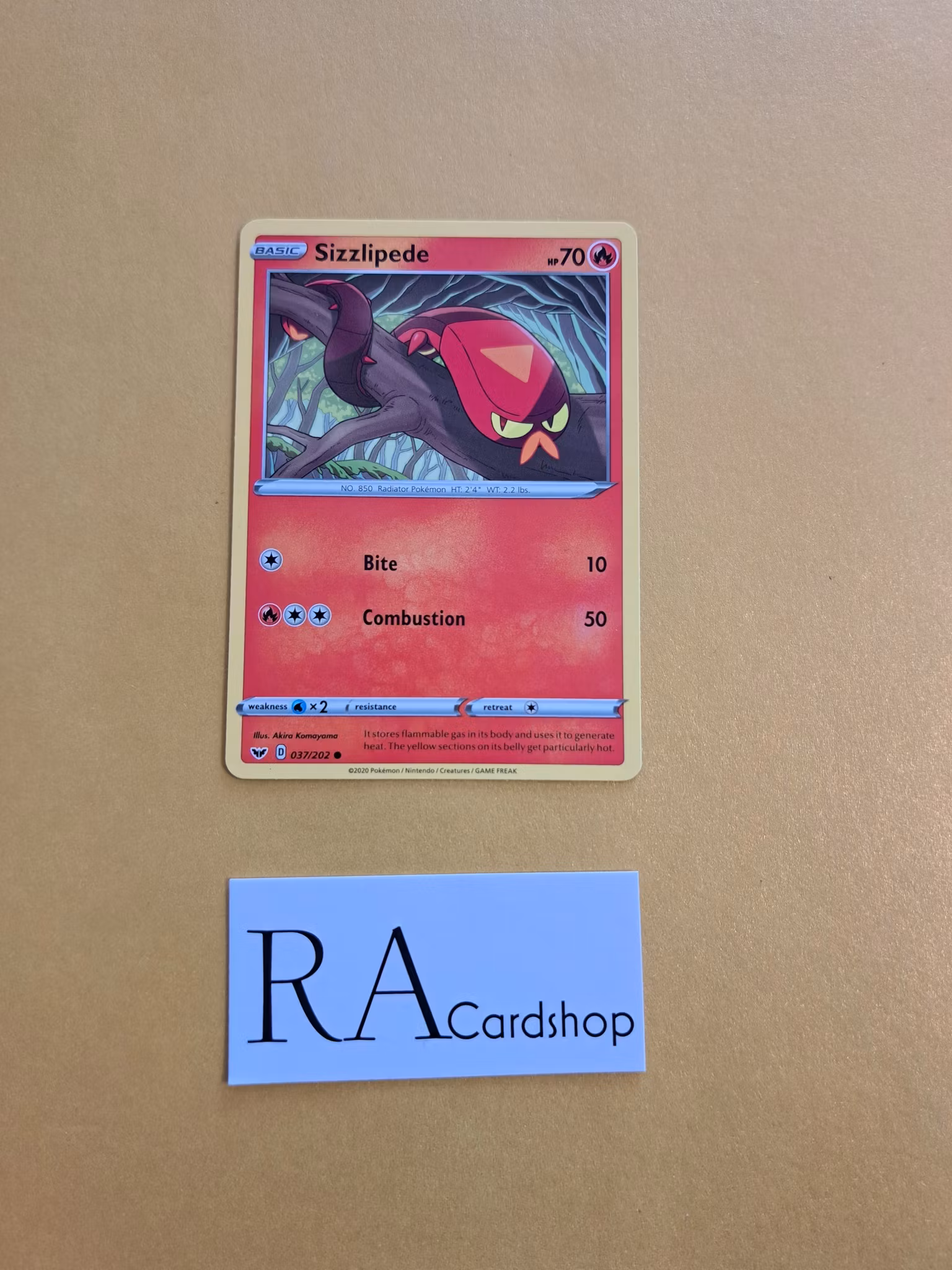 Sizzlipede Common 037/202 Sword and Shield Pokemon