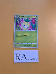 Petilil Common 005/067  Time Gazer s10D Pokemon