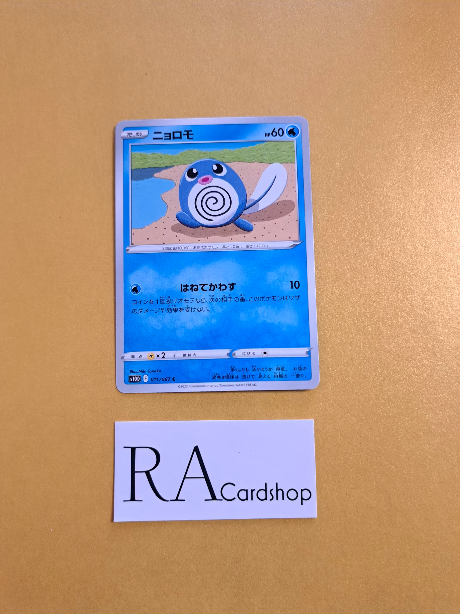 Poliwag Common 011/067  Time Gazer s10D Pokemon