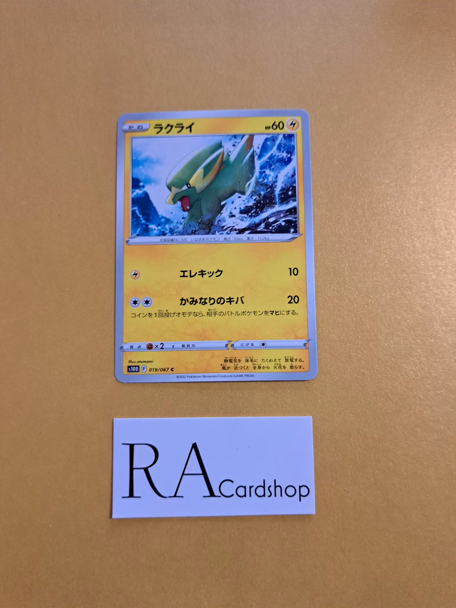 Electrike Common 019/067 Time Gazer s10D Pokemon