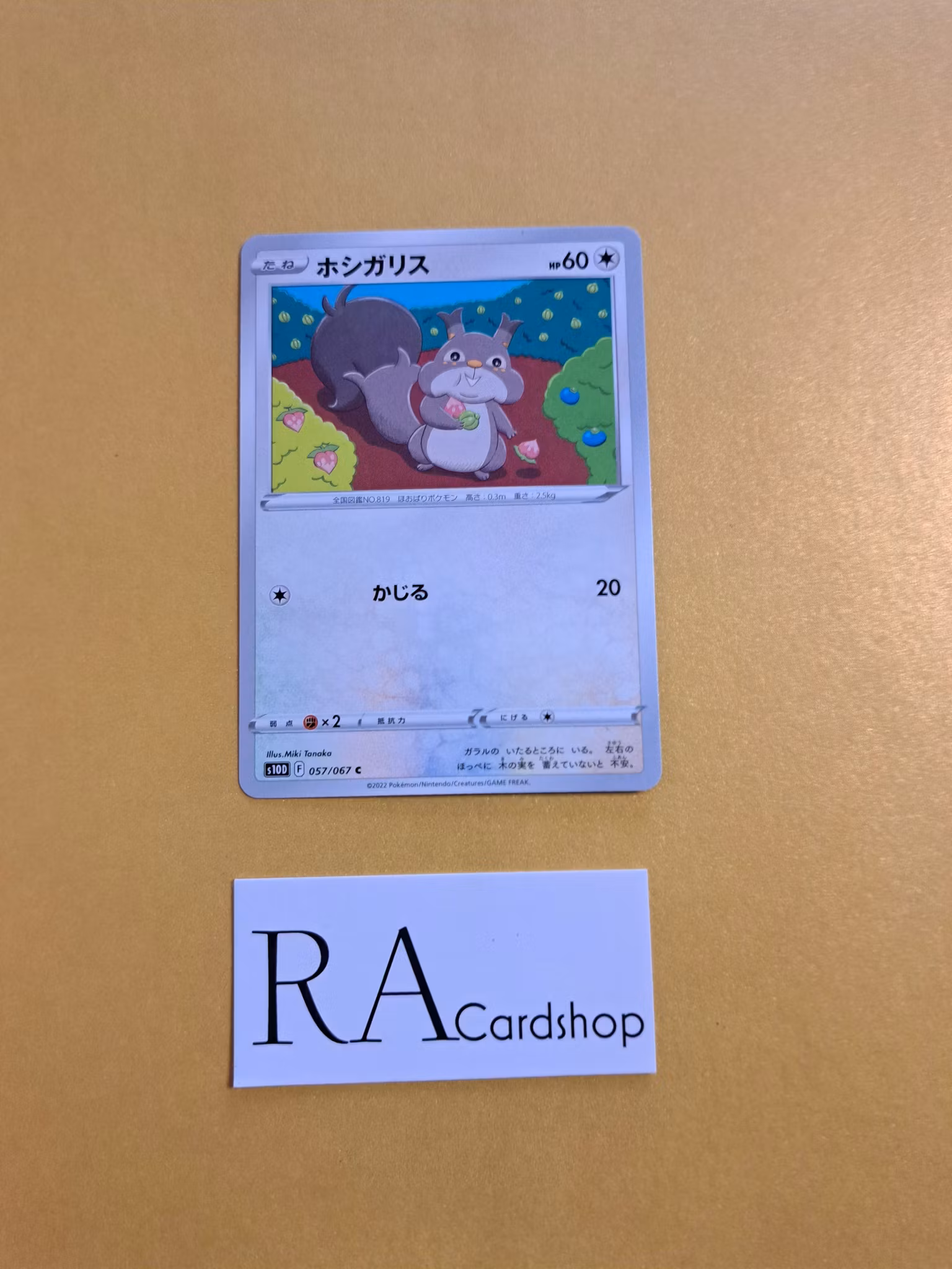 Skwovet Common 057/067 Time Gazer s10D Pokemon