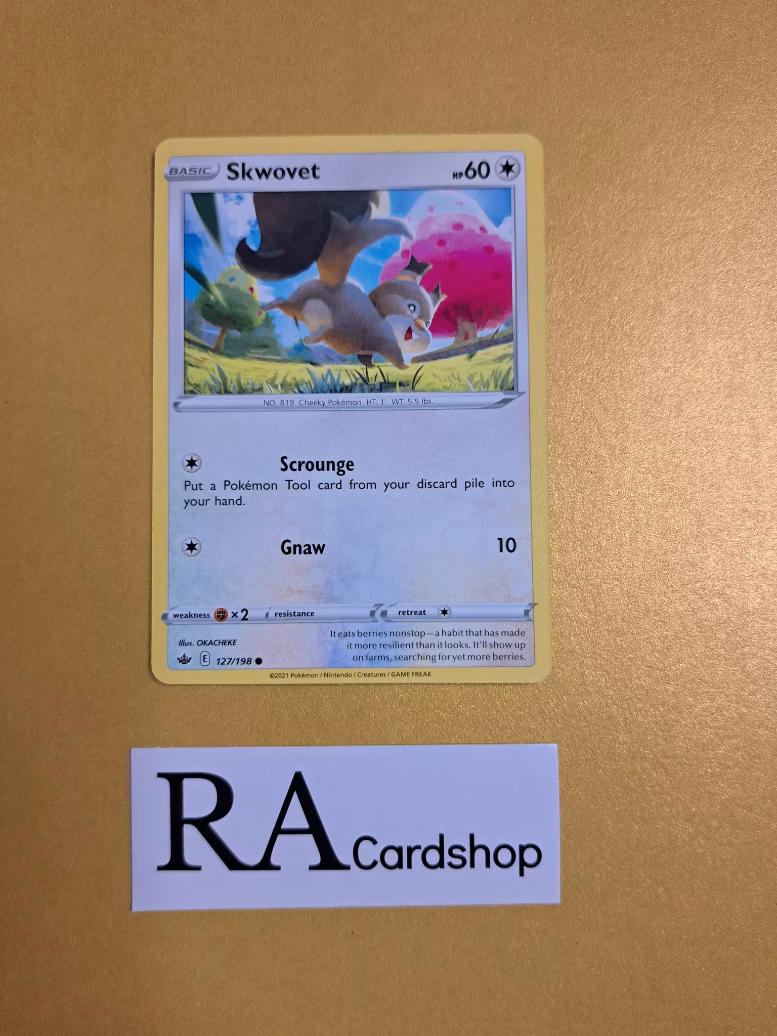 Skwovet Common 127/198 Chilling Reign Pokemon