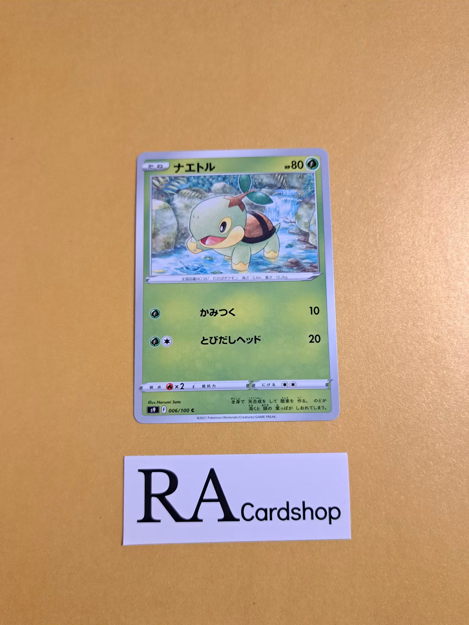 Turtwig Common 006/100 s9 Star Birth Pokemon