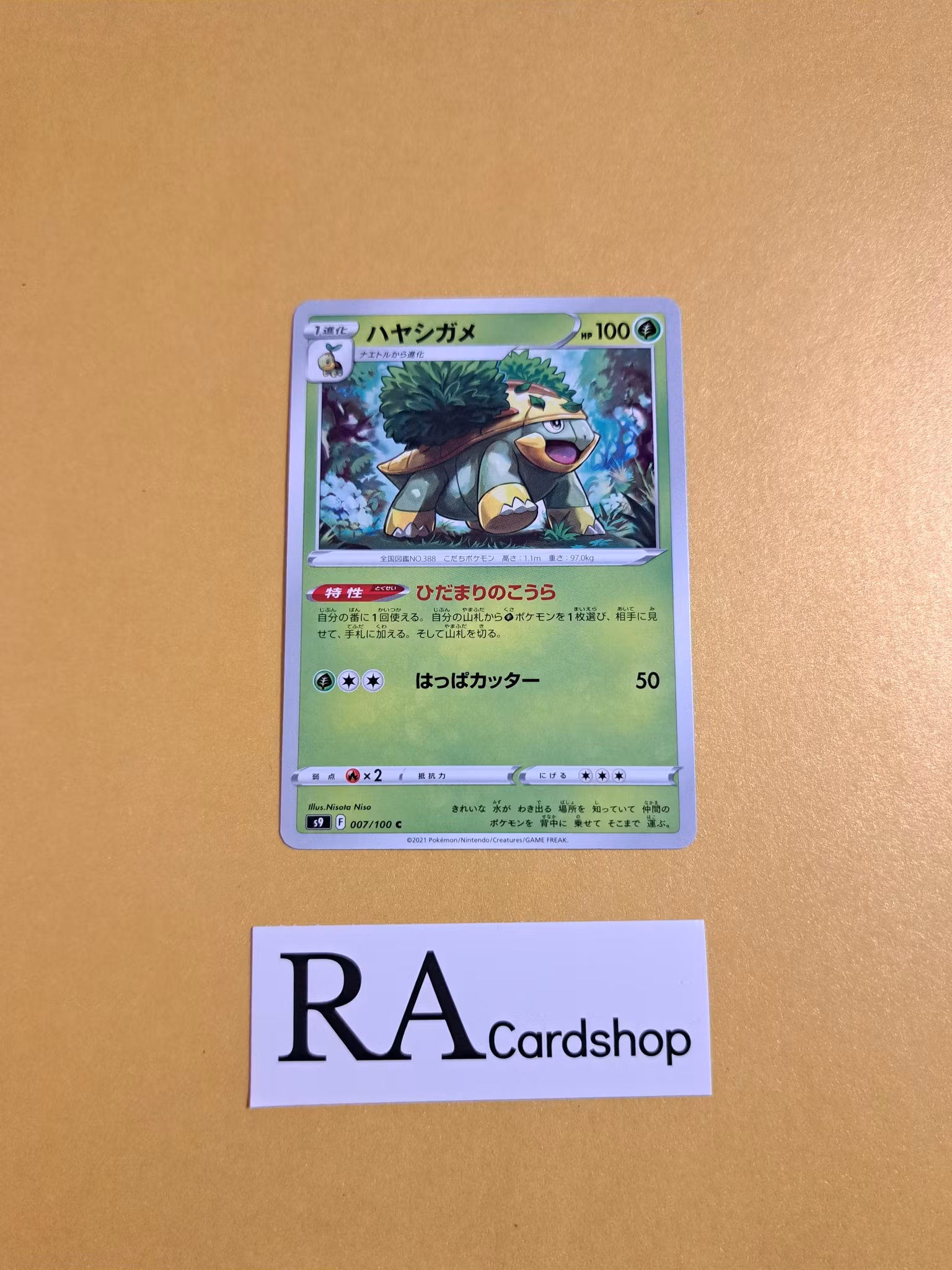 Grotle Common 007/100 s9 Star Birth Pokemon