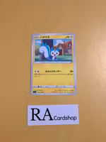 Pachirisu Common 040/100 s9 Star Birth Pokemon