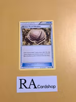 Armor Fossil Shieldon Uncommon 98/114 Steam Siege Pokemon