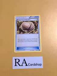 Armor Fossil Shieldon Uncommon 98/114 Steam Siege Pokemon