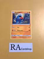 Nosepass Common 69/145 Guardians Rising Pokemon