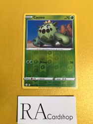Cacnea Reverse Holo Common 004/072 Shining Fates Pokemon