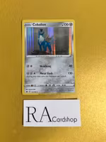 Cabalion Holo Rare 114/198 Chilling Reign Pokémon