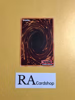 Pendulum Back En078 Duelist Alliance DUEA Yu-Gi-Oh