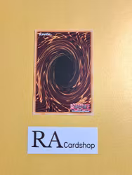 Amorphactor Pain, The Imagination Dracoverlord EN044 Shining Victories SHV1 Yu-Gi-Oh