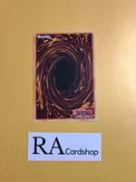 Amorphage Infection EN063 Shining Victories SHV1 Yu-Gi-Oh