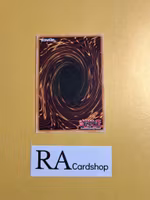 Kozmo Landwalker EN084 Shining Victories SHV1 Yu-Gi-Oh