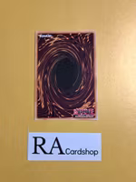 Degrade Buster EN005 Flames of Destruction FLOD Yu-Gi-Oh