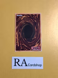 Degrade Buster EN005 Flames of Destruction FLOD Yu-Gi-Oh