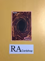 Trickstar Rhodode EN008 Flames of Destruction FLOD Yu-Gi-Oh