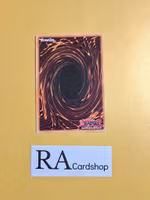 Elementsaber Lapauila EN023 Flames of Destruction FLOD Yu-Gi-Oh