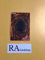 Fury of Kairyu-Shin 1st ED EN120 Legendary Duelists: Season 1 LDS1 Yu-Gi-Oh