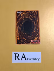 Chaos Daedalus EN007 Toon Chaos TOCH Yu-Gi-Oh