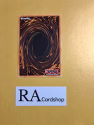 Cocoon of Ultra Evolution Limited Edition EN073 Legendary Duelists: Season 1 LDS1 Yu-Gi-Oh