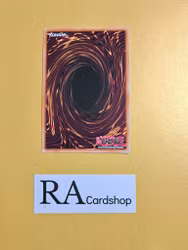 Cynet Conflict 1st ED EN042 Fists of the Gadgets FIGA Yu-Gi-Oh