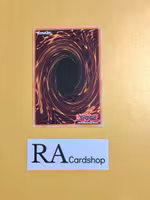 Subterror Fiendess 1st ED EN048 Fists of the Gadgets FIGA Yu-Gi-Oh