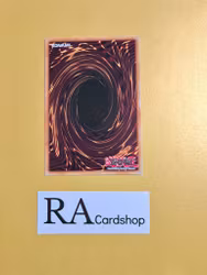 Subterror Fiendess 1st ED EN048 Fists of the Gadgets FIGA Yu-Gi-Oh