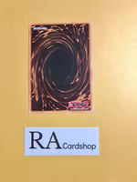 Virtual World Kirin - Lili 1st ED EN176 Tin of Ancient Battles 2021 MP21 Yu-Gi-Oh