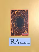 X - Saber Axel Limited Ed EN010 Hidden Arsenal HA01 Yu-Gi-Oh